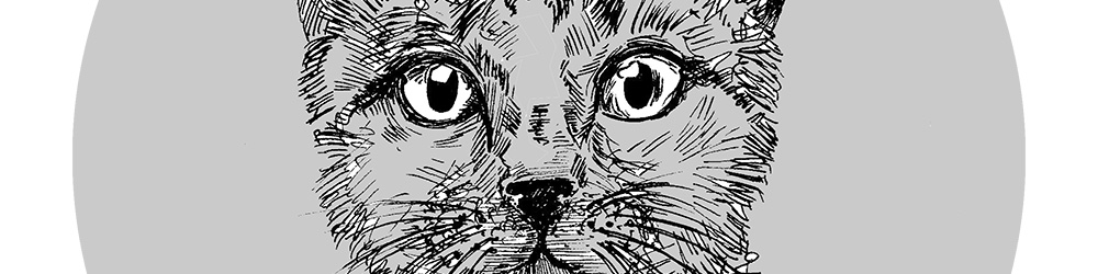 fuss_koteczka_hanger_cover.jpg