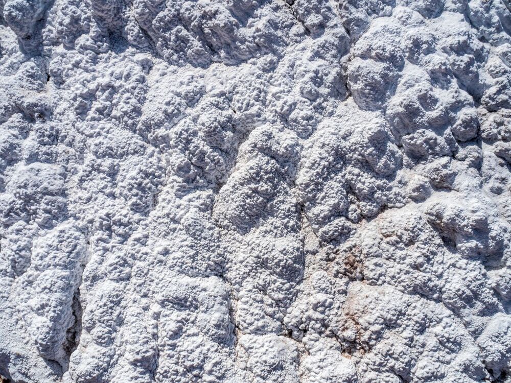 z 27 b P3071477 M.Zakrzewski.jpg