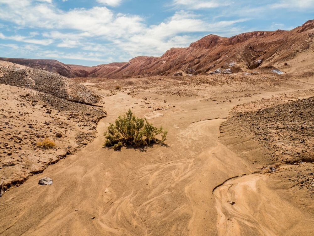 24 a P3071459 M.Zakrzewski.jpg