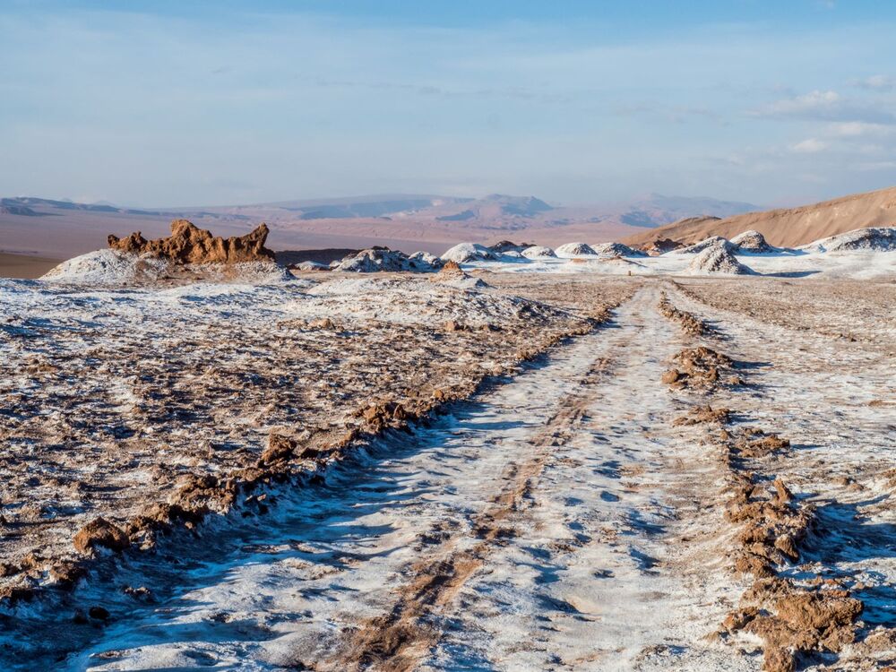 34 a P3050976 M. Zakrzewski.jpg