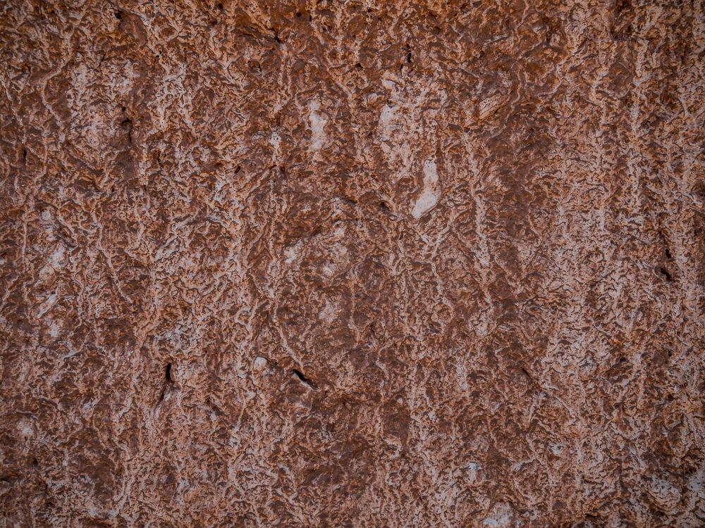 z 4 b P3071598 M.Zakrzewski.jpg