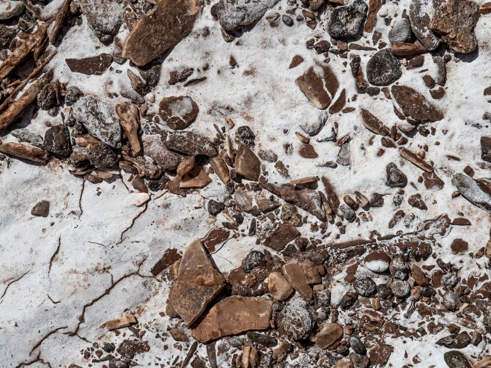 z 13 b P3071616 M.Zakrzewski.jpg