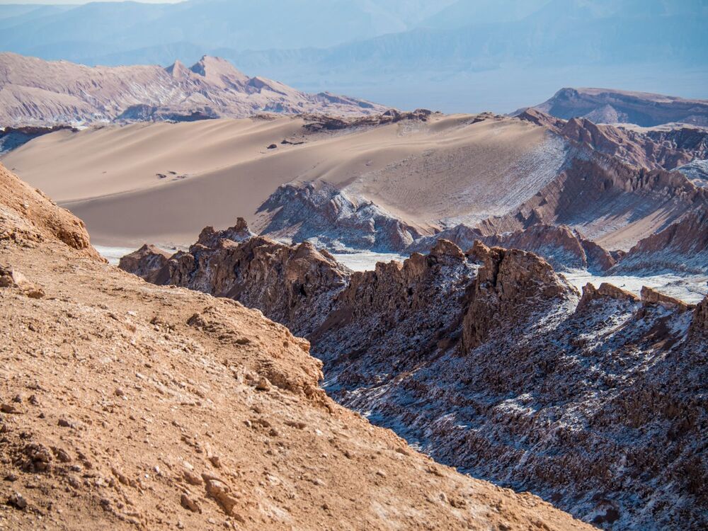 36 P3050835 M.Zakrzewski.jpg