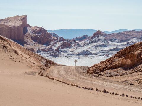 5 a P3050816 M.Zakrzewski.jpg