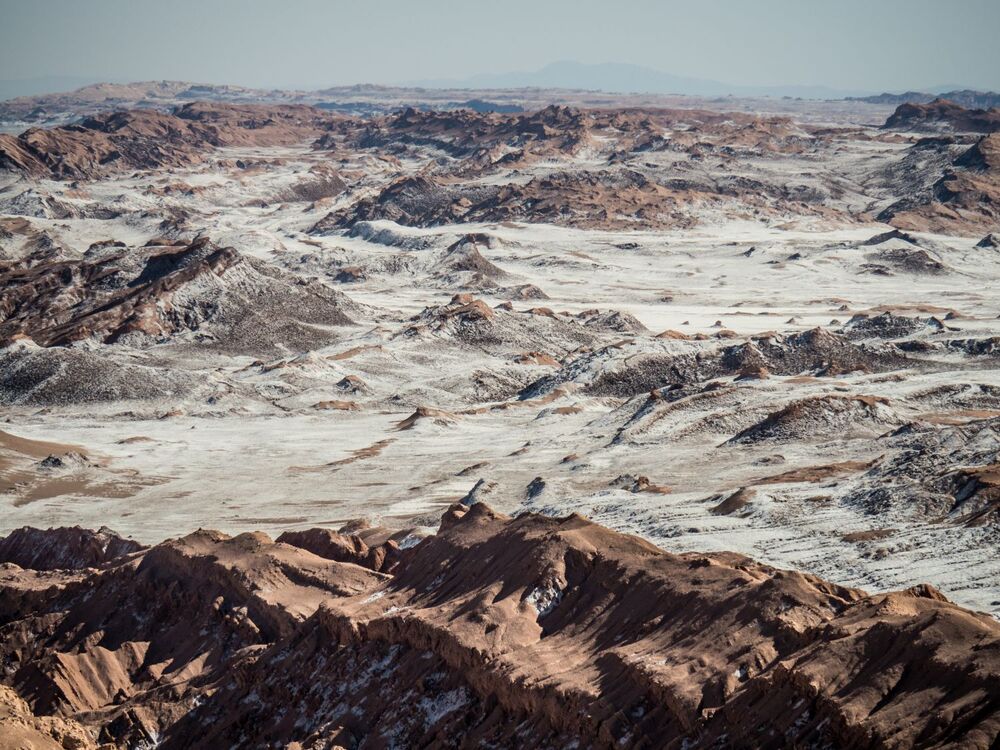 1 a P3050836 M.Zakrzewski.jpg