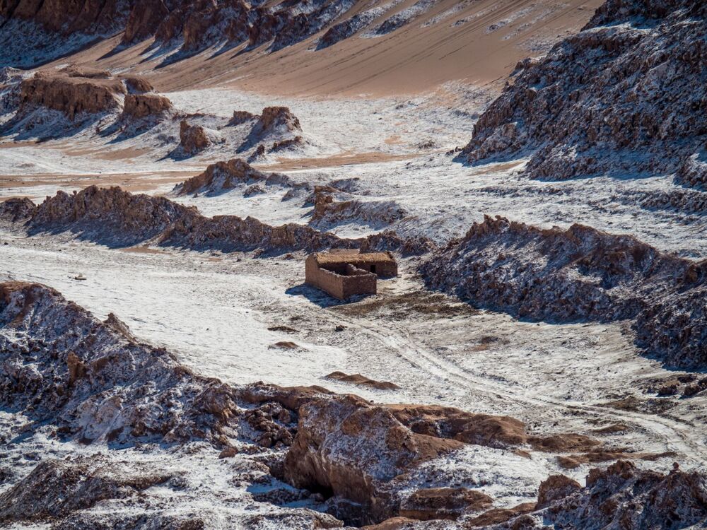 7 a P3050840 M.Zakrzewski.jpg